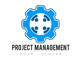 مدير مشاريع